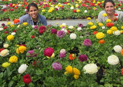 The Garden Center is Open, and that means spring is coming…really!