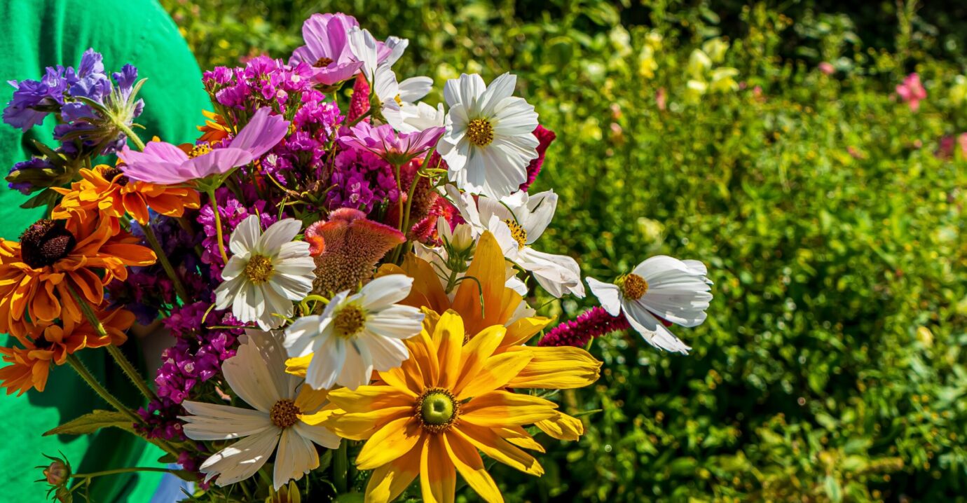 Bartlett's Farm, Nantucket A Family Owned Farm on Nantucket Island