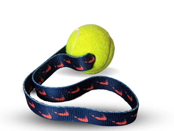 dog toy tennis