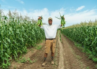 The Future of Farming is Here- Certified Organic Corn