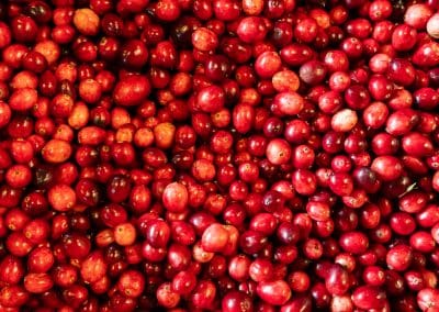 Cranberry Oat Crumble