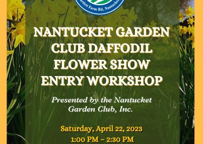 Nantucket Garden Club Daffodil Flower Show Entry Workshop