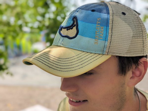 Blue Stripe Nantucket Hat product