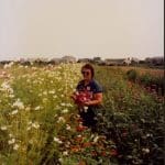 Dorothy-flower-field