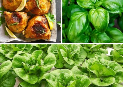 Sautéed Chicken with Basil and Romaine Salad