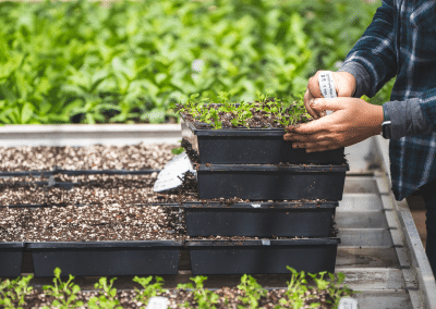 Time to get planting!