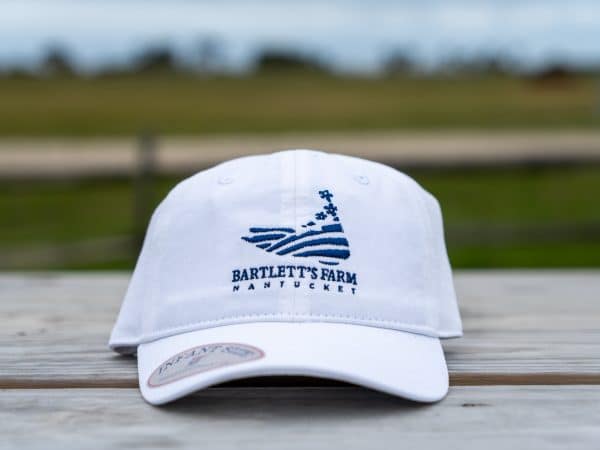 Island Logo Hats for Littles