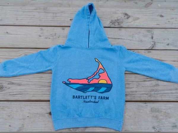 Youth Scenic Nantucket Hoodie