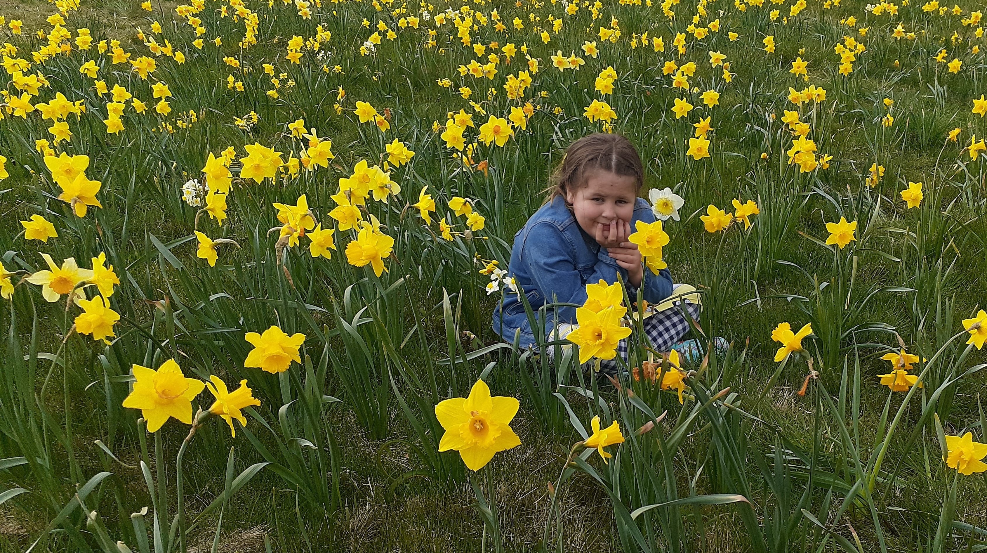 daffy field