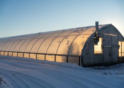 Scratch Your Gardening Itch- Late Winter Edition