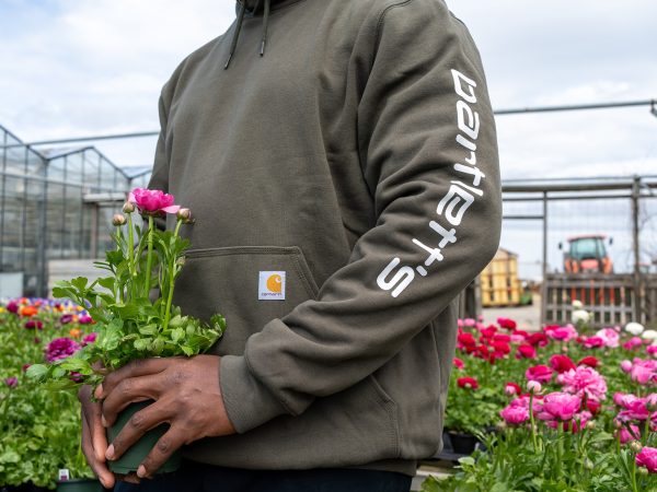 The Bartlett's Carhartt™