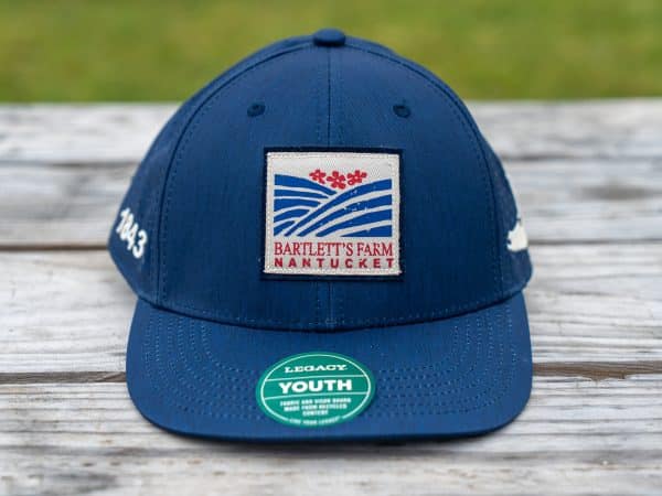 Traditional Logo Youth Trucker