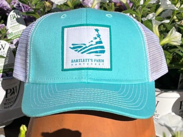 Island Logo Sideline Trucker