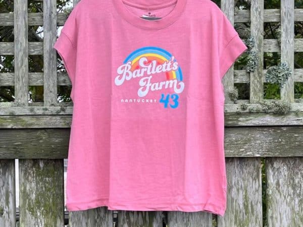 Vintage Wash Rainbow Tee