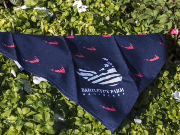 Island Pattern Dog Bandanas