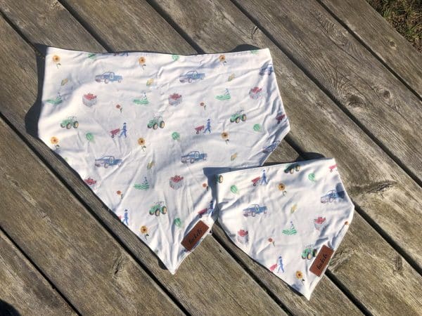 Bartlett's Print Dog Bandanas