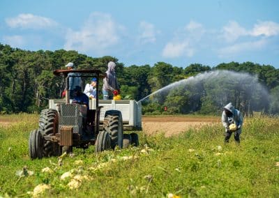 2025 GG – Farm Favorites