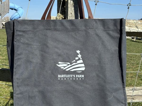Island Logo Waxed Canvas Market Bag