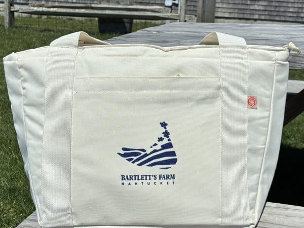 Picnic Time Cooler Totes